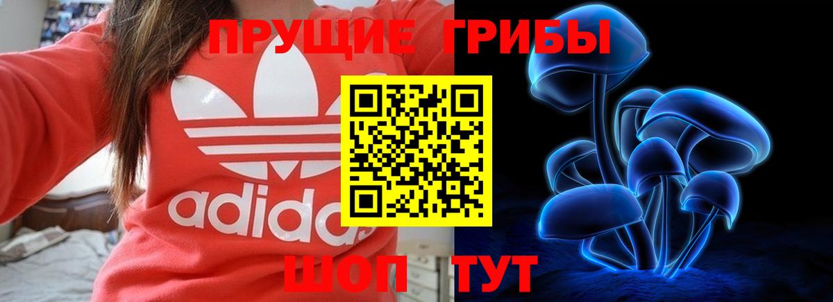 Псилоцибиновые грибы Psilocybine cubensis Хабаровск